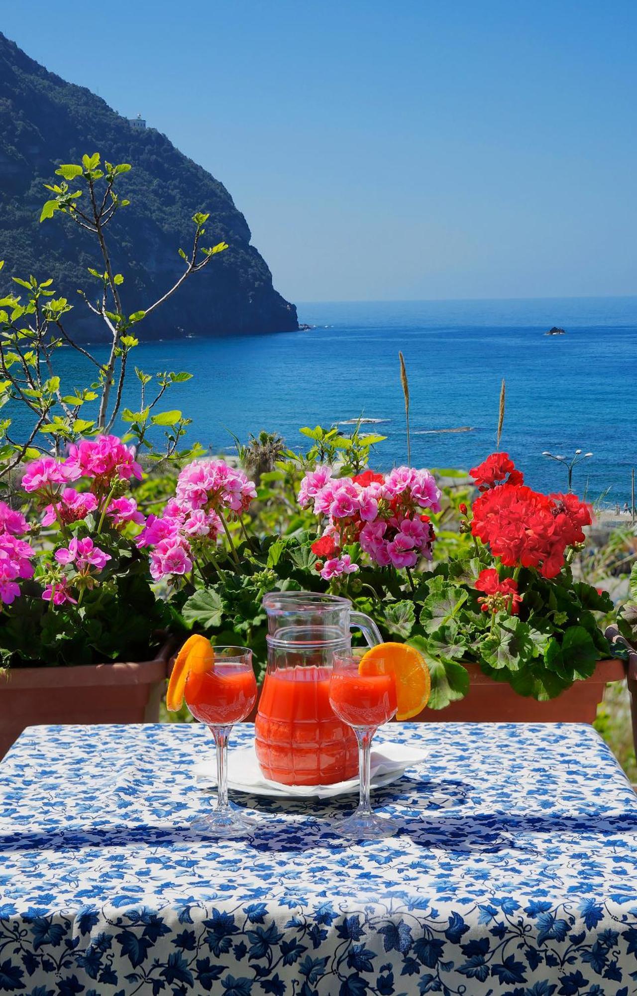 Hotel Casa Del Sole Forio di Ischia Extérieur photo