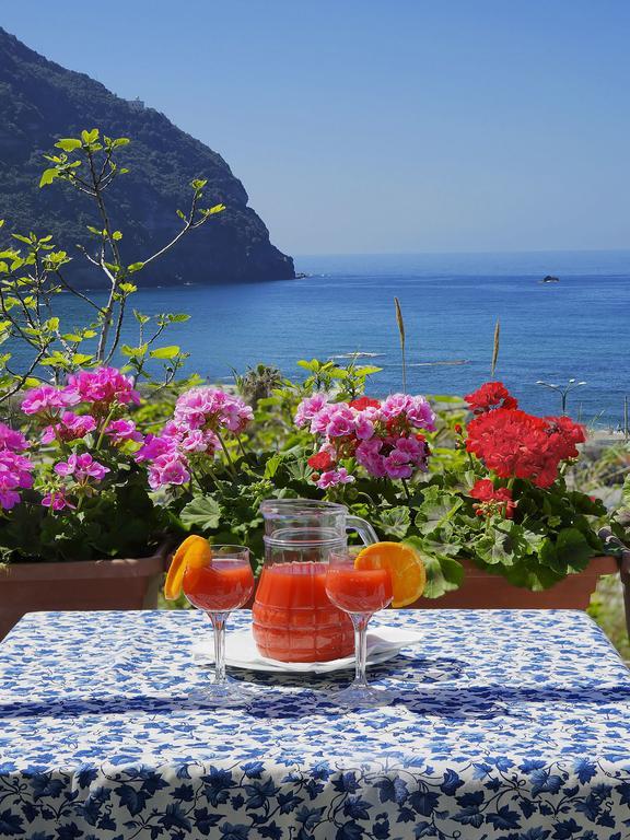 Hotel Casa Del Sole Forio di Ischia Extérieur photo